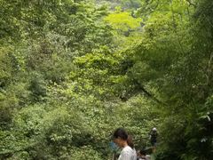 -神龙峡风景区