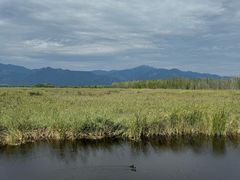 -野鸭湖国家湿地公园