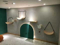 -飞行喵MR PILOT|猫舍·猫咖(静安大融城店)