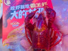-霸王虾·小龙虾香辣蟹(玉林店)