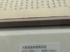 -敦煌市博物馆