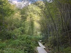 -莫干山风景区