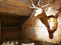-鹿萤季·营地小馆(皇后公园店)