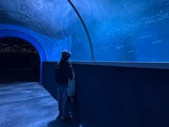 -北戴河圣蓝海洋公园