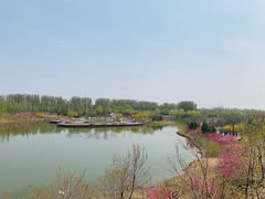 -东郊湿地公园