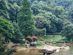 -桃花岭景区