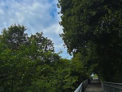-佛山华盖山公园