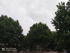 -黄村公园