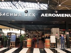 -谢列梅捷沃国际机场