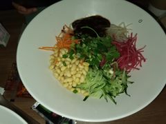 炸酱面-北平盛世·新京菜·北京烤鸭(劲松·双井店)