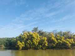 -大湾区中央湿地公园