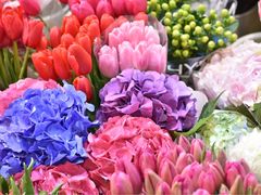 -双季花艺园艺市场(浦东店)