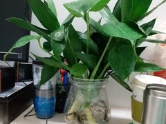 -铜元老码头鳝鱼火锅