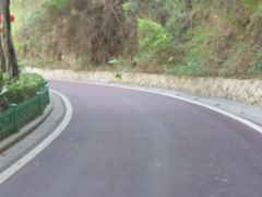 -金鸡山公园