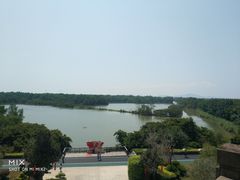 景点-大湾区中央湿地公园