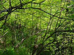 -敬亭山风景名胜区