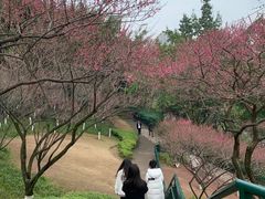 -重庆彩云湖湿地公园