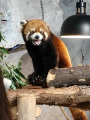 -Zoolung Zoolung动物主题公园(海信广场店)