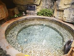 -海口观澜湖火山温泉谷