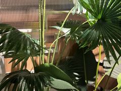 -湊湊火锅·茶憩(皇姑万象汇店)