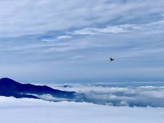-灵山