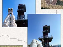 -春花秋色城市公园