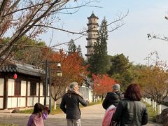 -江心屿景区
