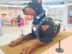 -光启城时尚购物中心