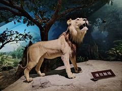 -天津自然博物馆