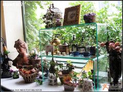 555-露西亚咖啡西餐厅(哈尔滨俄侨纪念馆店)