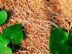 -天津东丽湖风景区