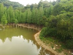-广州市帽峰山景区