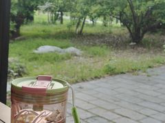 -东园小馆·早茶·淮扬小炒(宋夹城店)