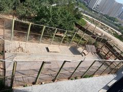 -青藏高原野生动物园