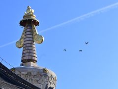 -席力图召