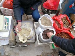 -长兴慧子土特产茶行