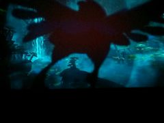 -星美国际影商城(虞景文华店)