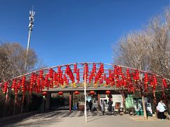 -北京植物园-展览温室