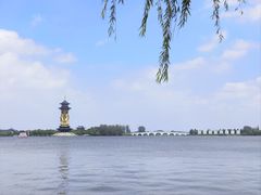 -溱湖国家湿地公园