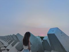 -南汇嘴观海公园