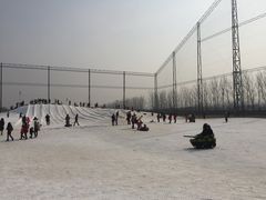 -万源龙顺度假庄园生态观光园