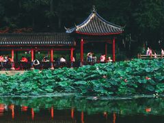 -龙头寺公园