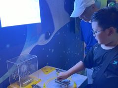 -烟台海昌鲸鲨海洋公园