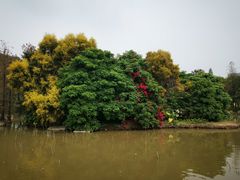 -海珠湖公园