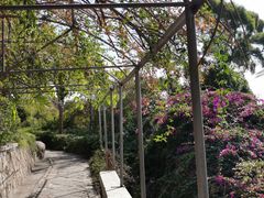 -鸿山公园