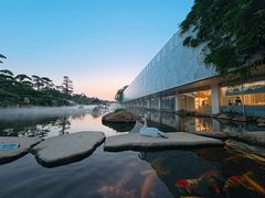 -罗红摄影艺术馆