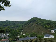 -西湖风景区十里琅珰-五云山