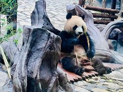 -乐和乐都主题乐园