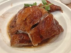 -永記粤菜·五指毛桃花雕鸡煲(九亭店)