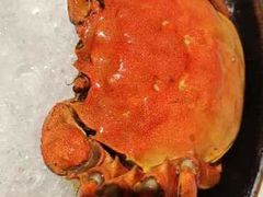 -阿五黄河大鲤鱼(纬三路店)